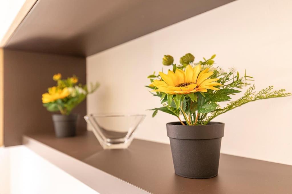 Apartmán Residenza Sirtori Free Parking Verona Exteriér fotografie